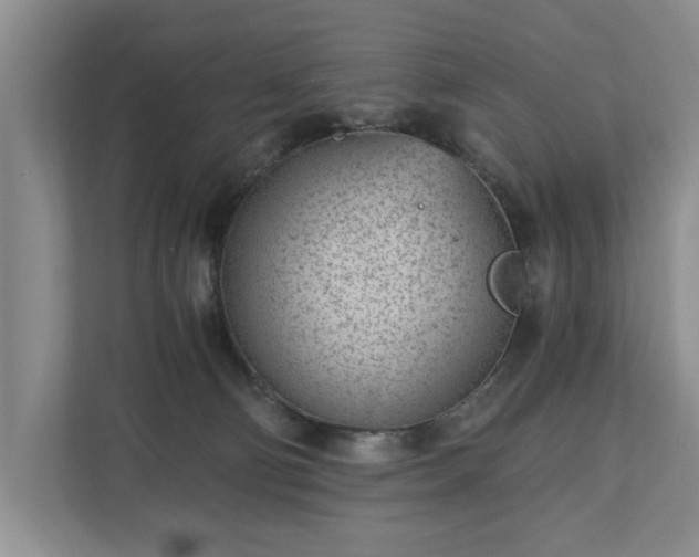 X0000110690130200906191515