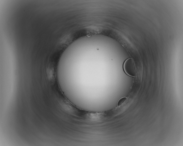 X0000110690134200906191515