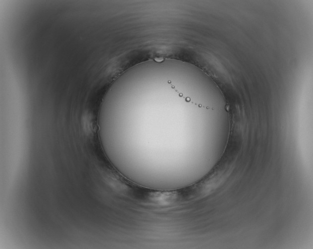 X0000110690135200906191515