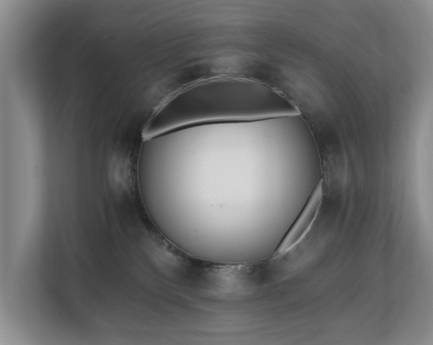 X0000110690136200906191515