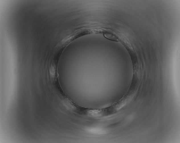 X0000110690139200906191515