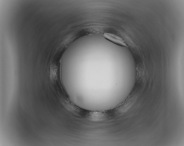 X0000110690141200906191515