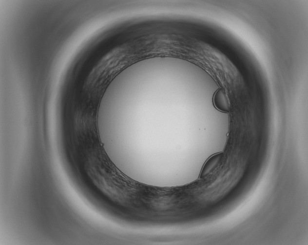 X0000110690142200906191515