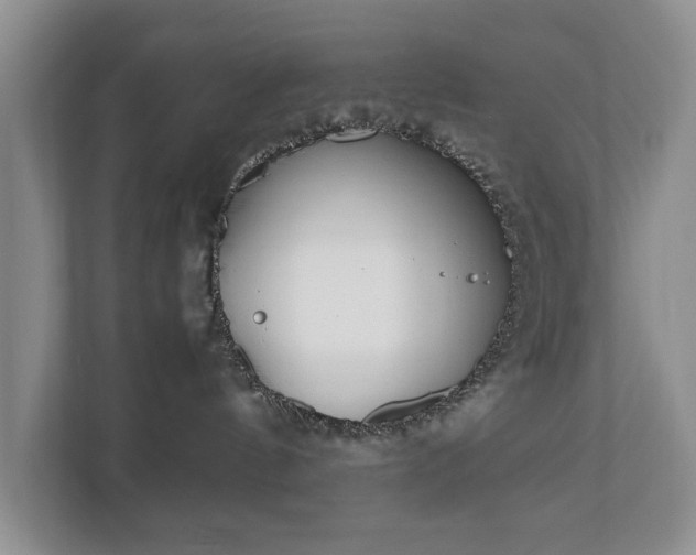 X0000110690144200906191515