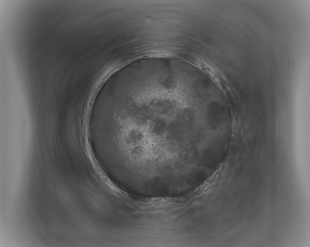 X0000110690145200906191514