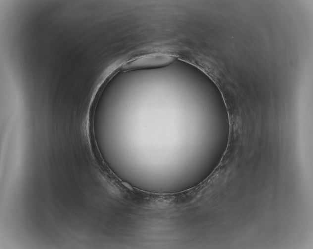 X0000110690148200906191514