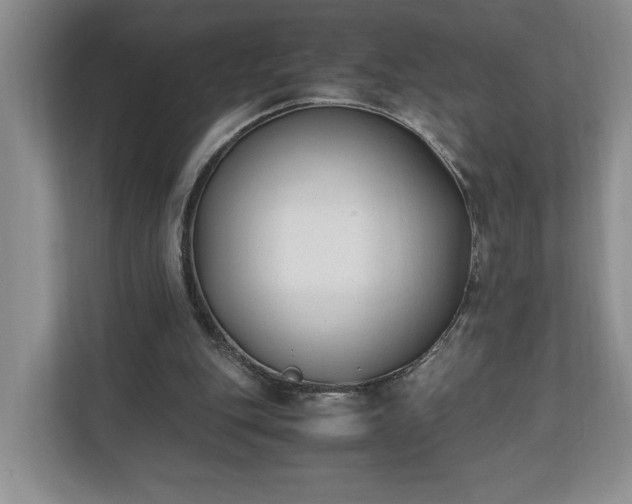 X0000110690151200906191514