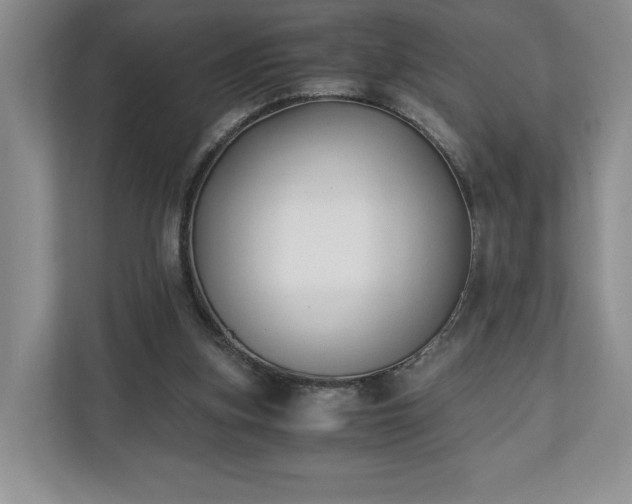 X0000110690155200906191514