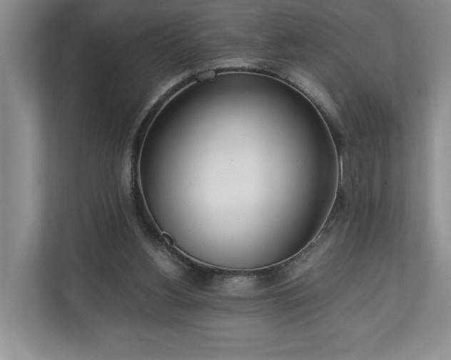 X0000110690156200906191514