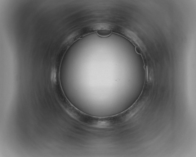 X0000110690157200906191514