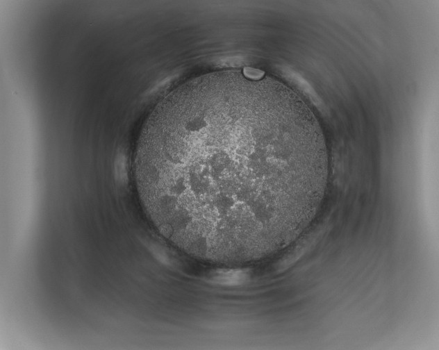 X0000110690161200906191514