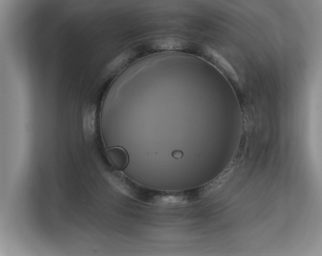 X0000110690163200906191514