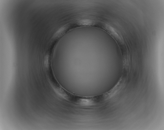 X0000110690167200906191514