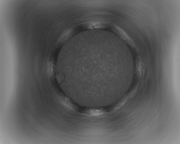 X0000110690169200906191514