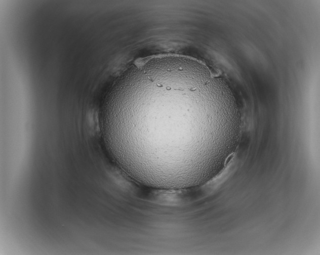 X0000110690182200906191515