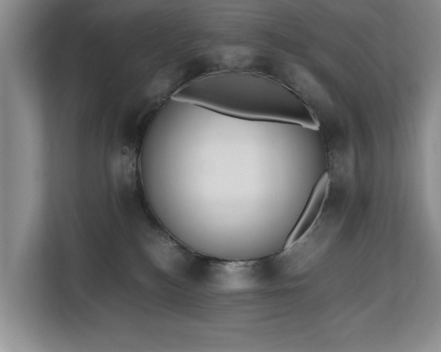 X0000110690184200906191515