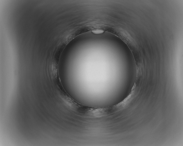 X0000110690186200906191515