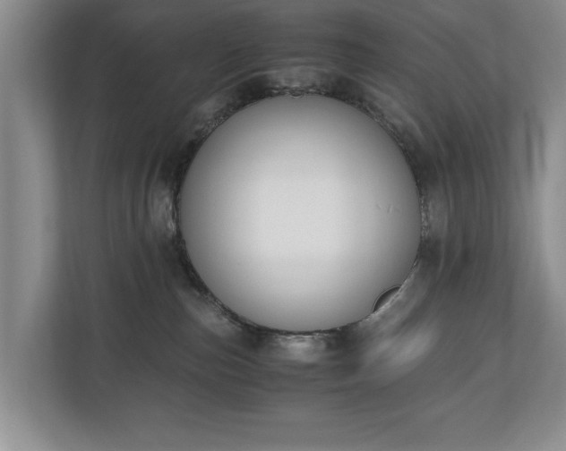 X0000110690187200906191515