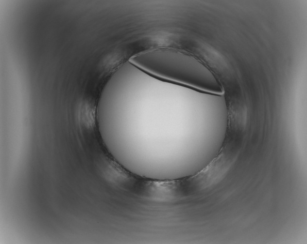 X0000110690188200906191515