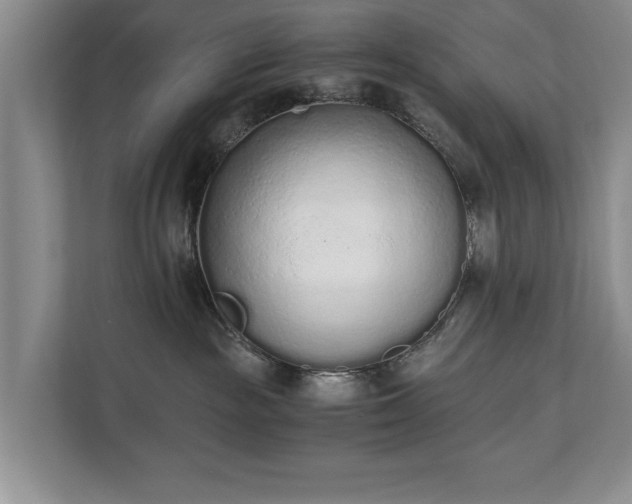 X0000110690189200906191515