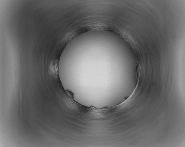 X0000110690190200906191515