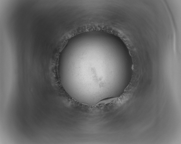 X0000110690192200906191515