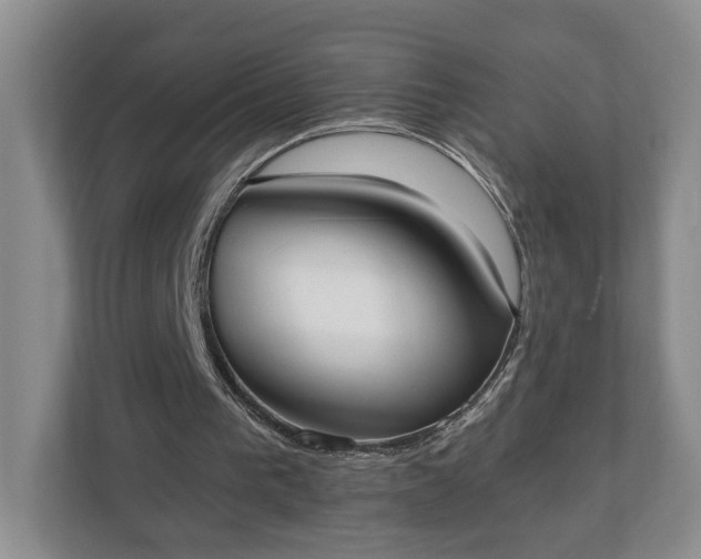 X0000110690193200906191514