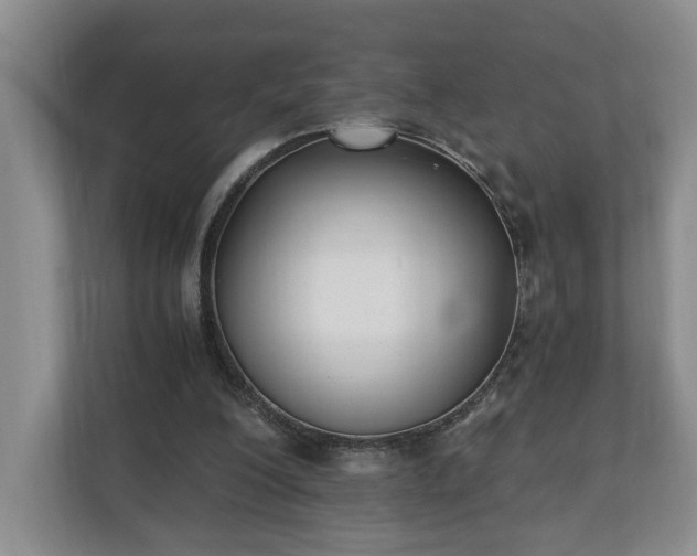 X0000110690200200906191514