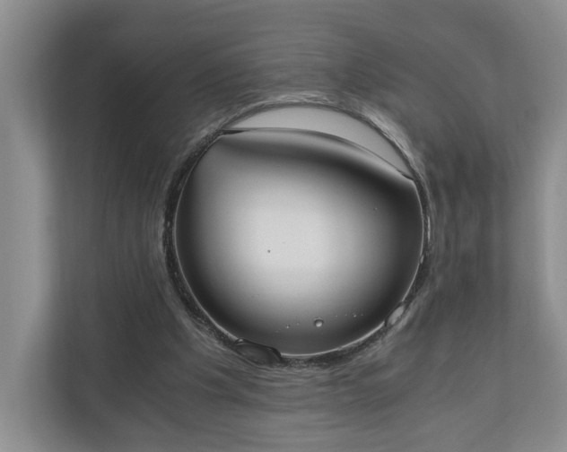 X0000110690201200906191514