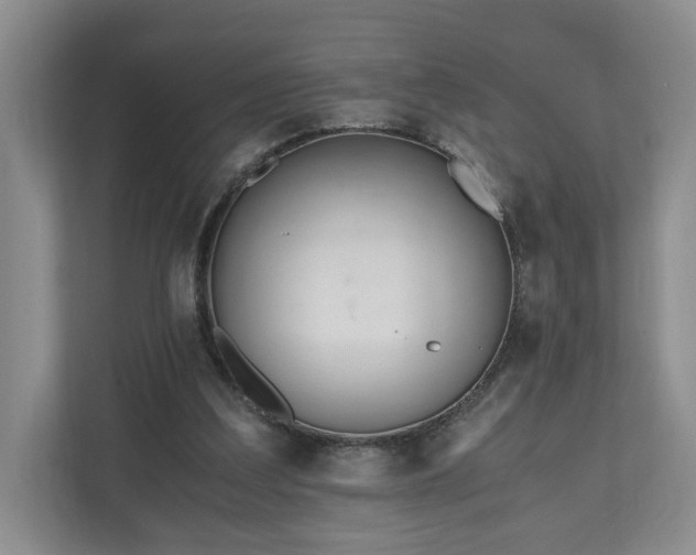 X0000110690203200906191514