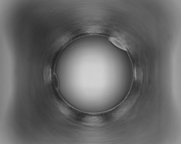 X0000110690205200906191514