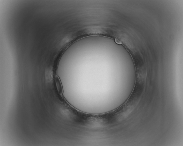 X0000110690207200906191514