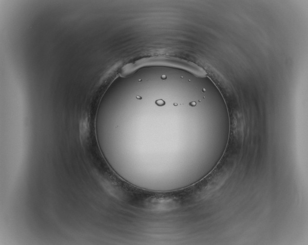 X0000110690208200906191514