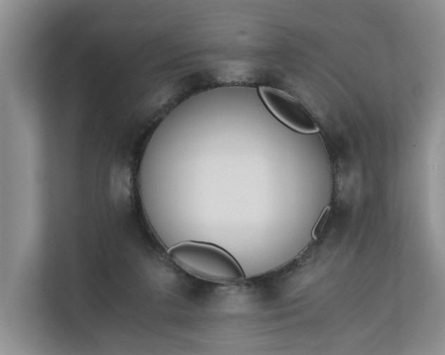 X0000110690211200906191514