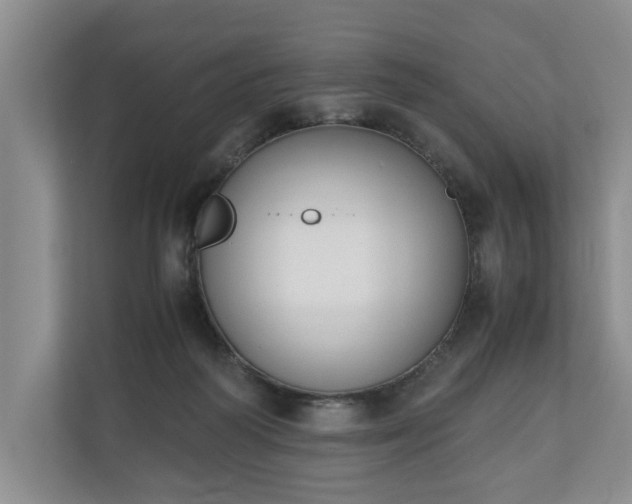 X0000110690218200906191514