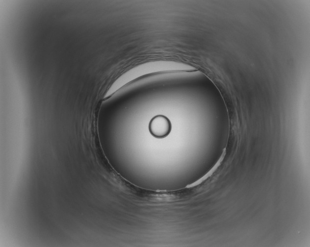 X0000110690233200906191514