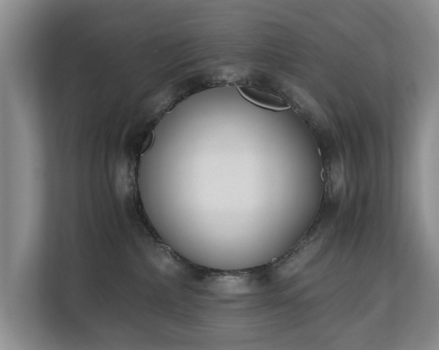 X0000110690236200906191513