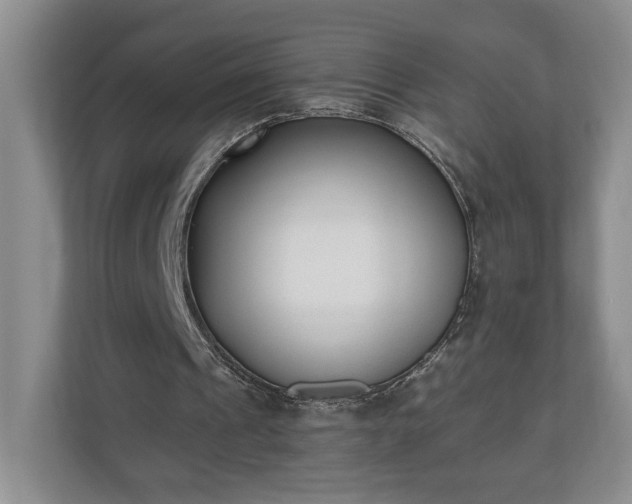 X0000110690241200906191513