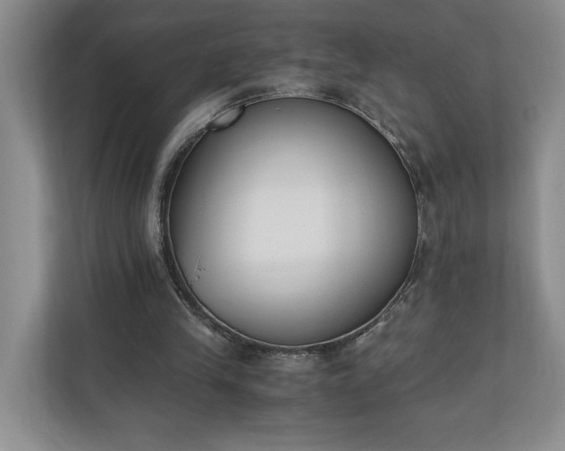 X0000110690245200906191513