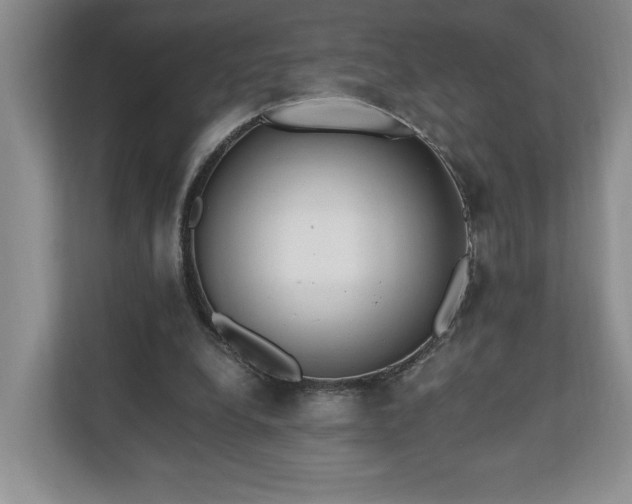 X0000110690248200906191513