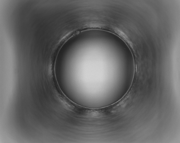 X0000110690249200906191513