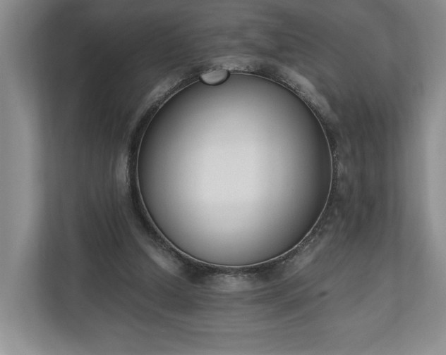 X0000110690250200906191513