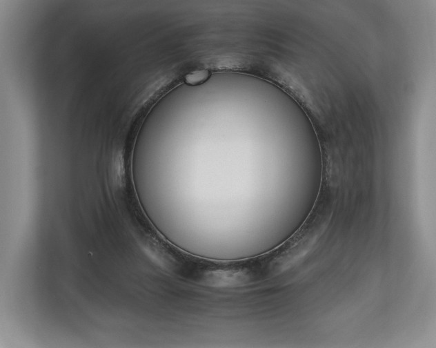 X0000110690251200906191513