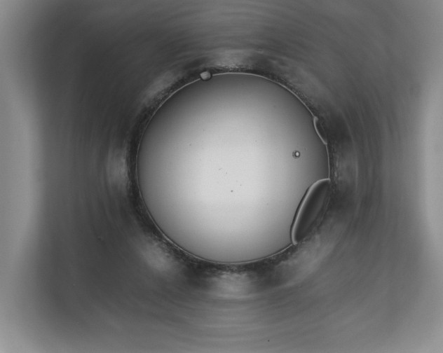 X0000110690256200906191513