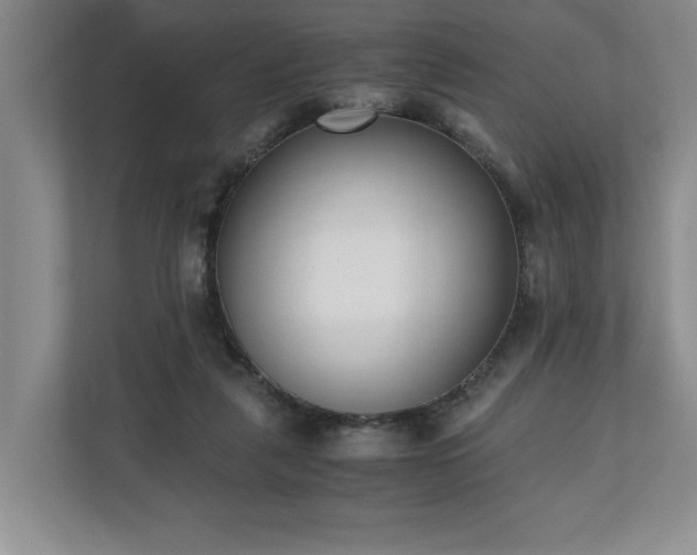 X0000110690259200906191513