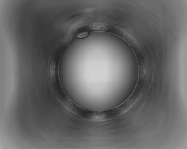 X0000110690263200906191513