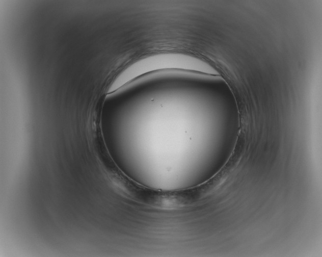 X0000110690264200906191513