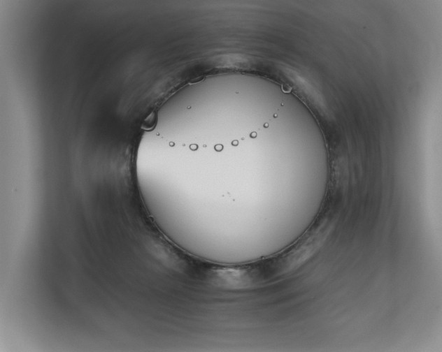 X0000110690265200906191513