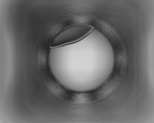 X0000110690268200906191513