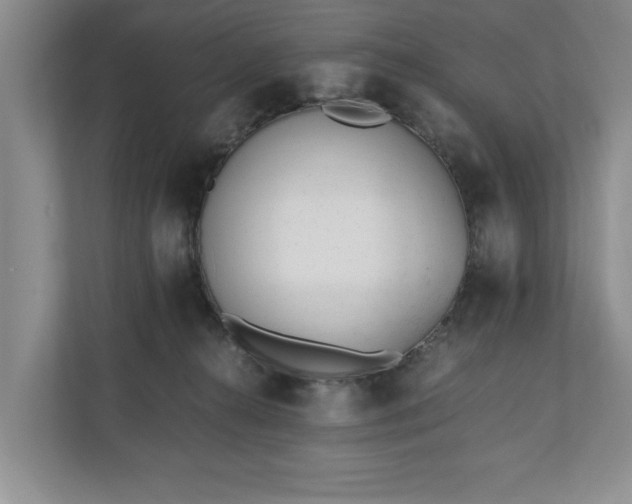 X0000110690272200906191513